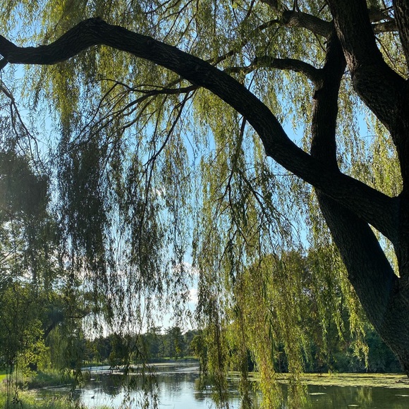 Meet your Posher, Kelly - Picture 1 of 1